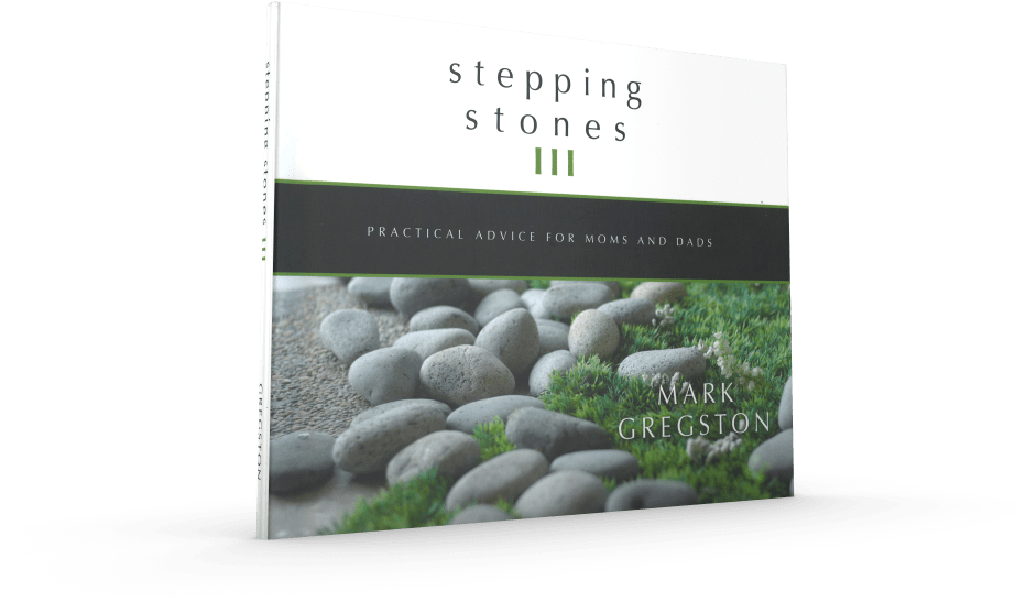 Stepping Stones Iii - Igneous Rock (1000x1000), Png Download