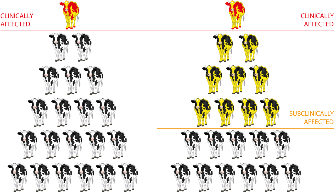 Image Source - Clinical Vs Subclinical Mastitis (1200x729), Png Download