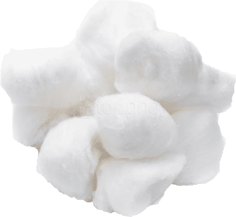 Free Png Cotton Ball Png Images Transparent - Tremella (850x784), Png Download