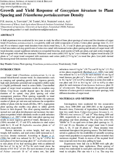 Pdf - Folio Twelve From Burchard Of Sion's De Locis Ac Mirabilibus (600x776), Png Download