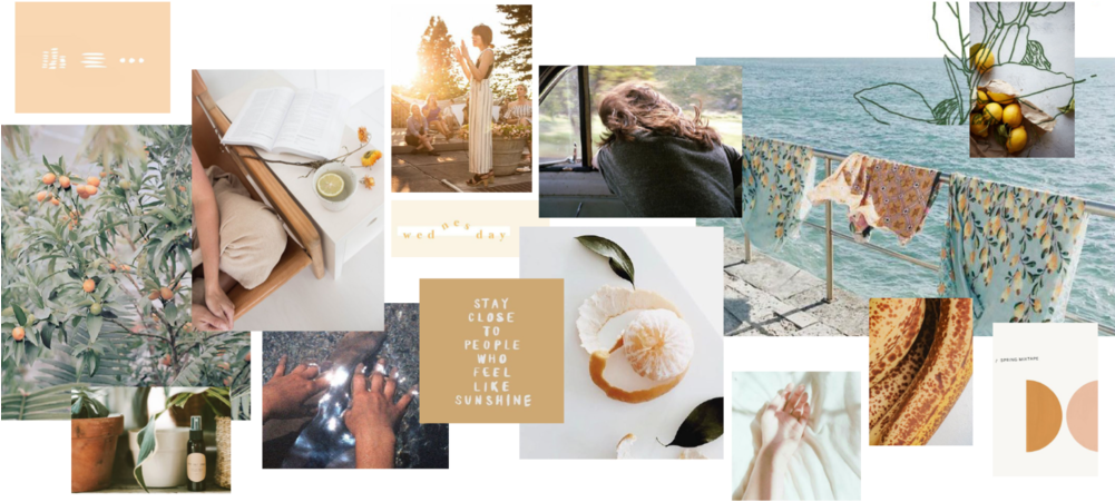 Bk Co, Wild Wagon Co, Shop Goodwin, The Binding - Collage (1000x500), Png Download