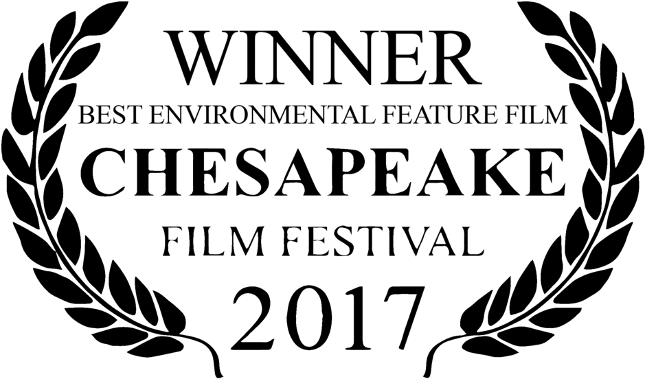 Chesapeake Film Festival, - Film Festival Logo Png (1000x644), Png Download