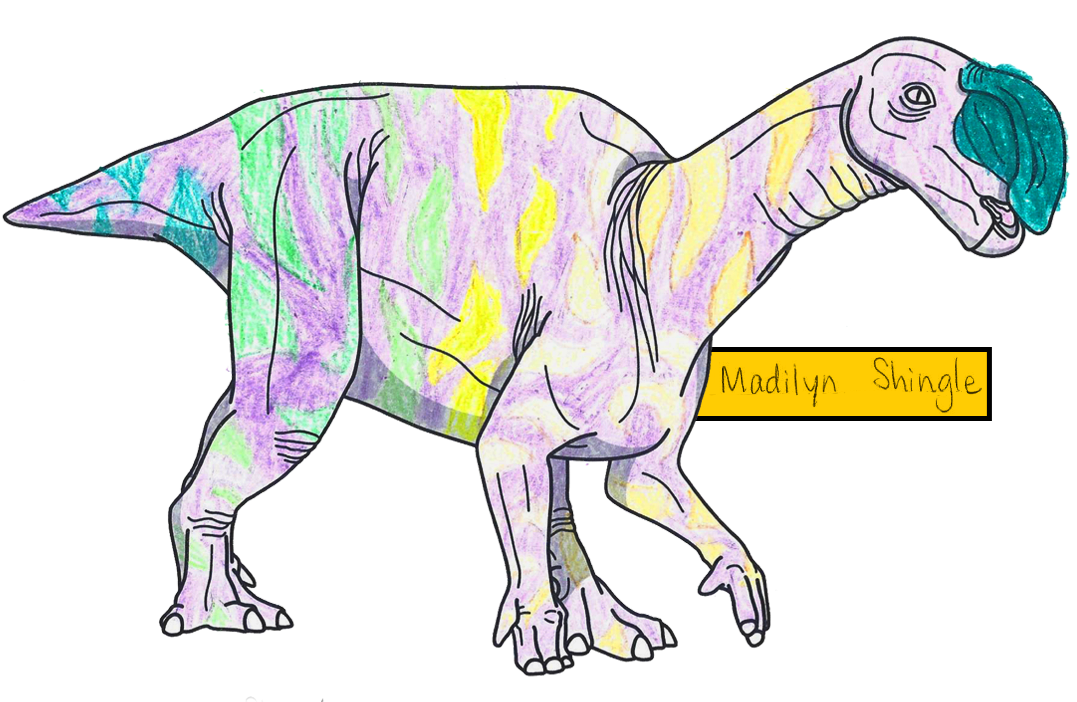 2016 Coloring Contest Results - Lesothosaurus (1152x864), Png Download