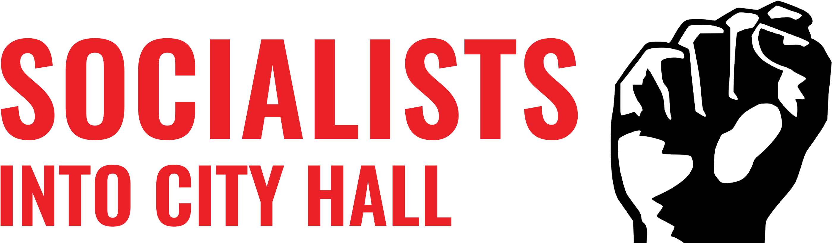 How Can We Build The Movement In The 2019 Elections - Black Power Fist (3000x1000), Png Download