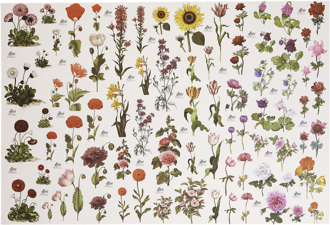 Picture Of Flower Paper - Motif (1280x1280), Png Download