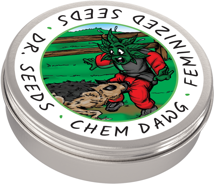 Bruce Banner - Zombie (768x768), Png Download