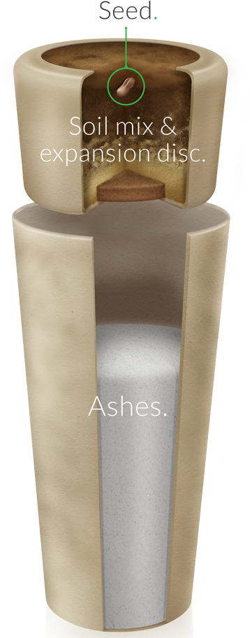 Inside The Urn - Bios Urn (579x912), Png Download