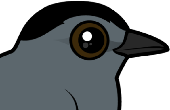 Old World Flycatcher (640x480), Png Download