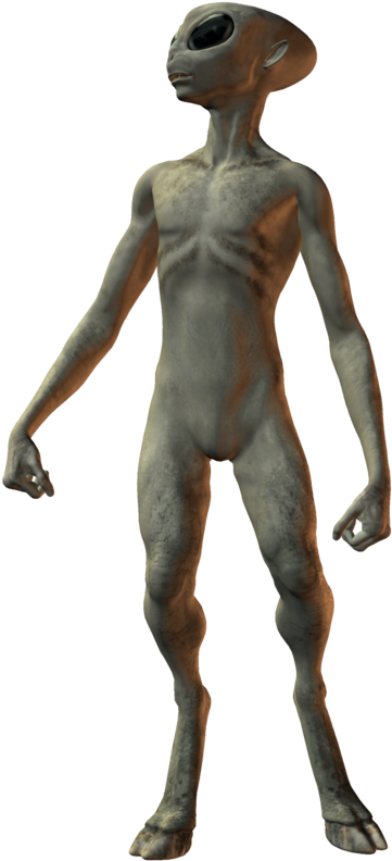 800 X 817 6 - Grey Alien Transparent (800x817), Png Download