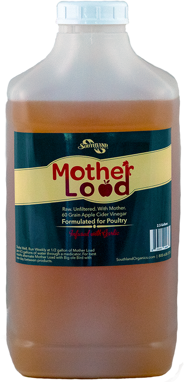 Apple Cider Vinegar For Chickens - Glass Bottle (443x800), Png Download