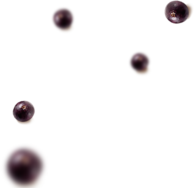 Abra Uma Franquia Kingdom Açaí - Macro Photography (639x658), Png Download