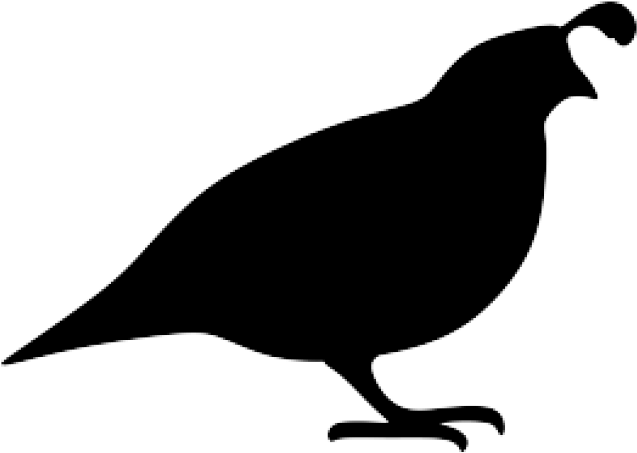 Quail Clipart Silhouette - Quail Silhouette Png (640x480), Png Download
