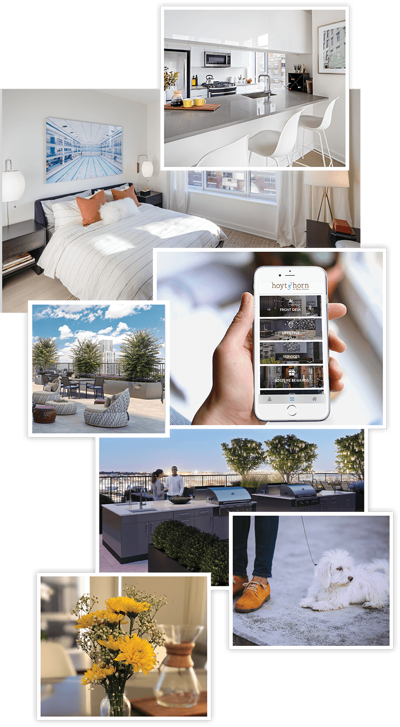 Interior Shots Of A Bedroom, Brand New Kitchen With - Bedroom (800x1453), Png Download