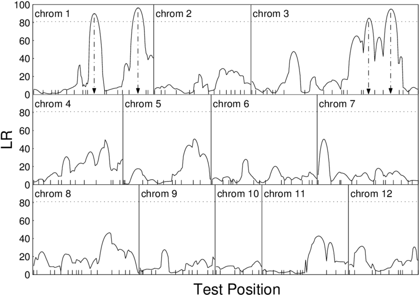 The Profile Plot Of The Log-likelihood Ratios Between - Diagram (850x608), Png Download