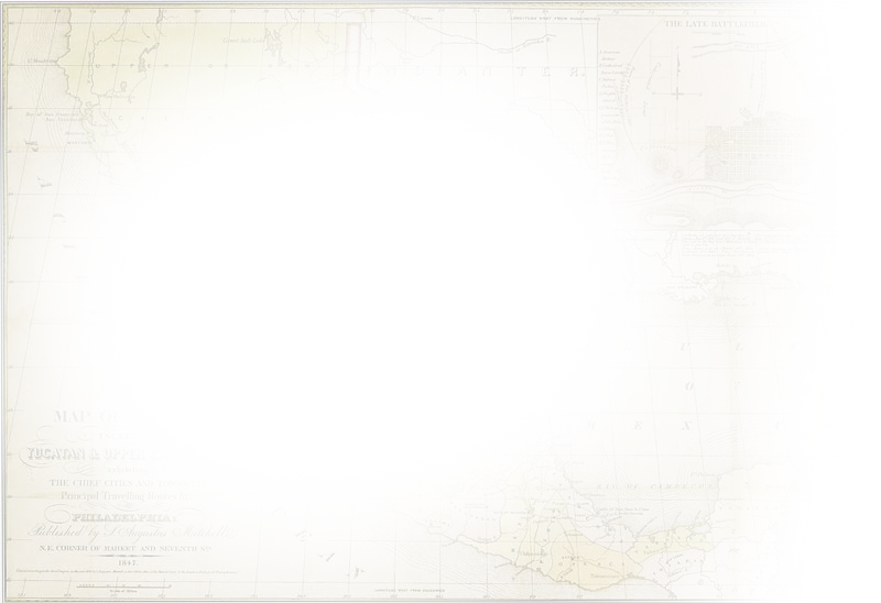 Shrimp Cocktail - Paper (800x548), Png Download