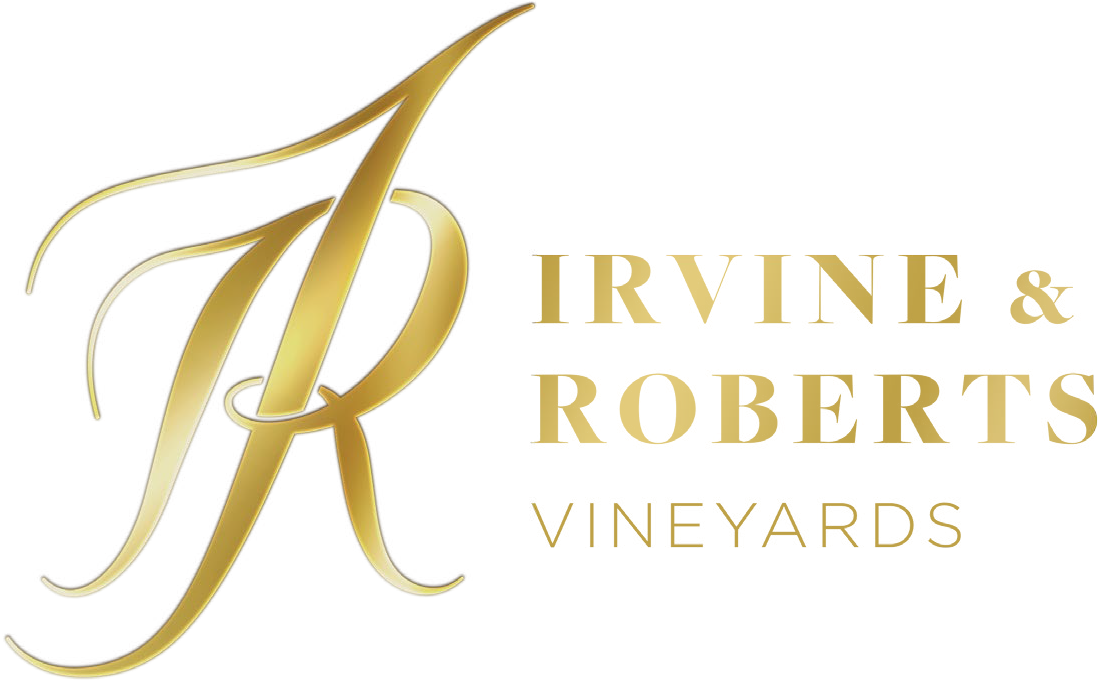 Logo - Long Tail Chris Anderson (1177x740), Png Download