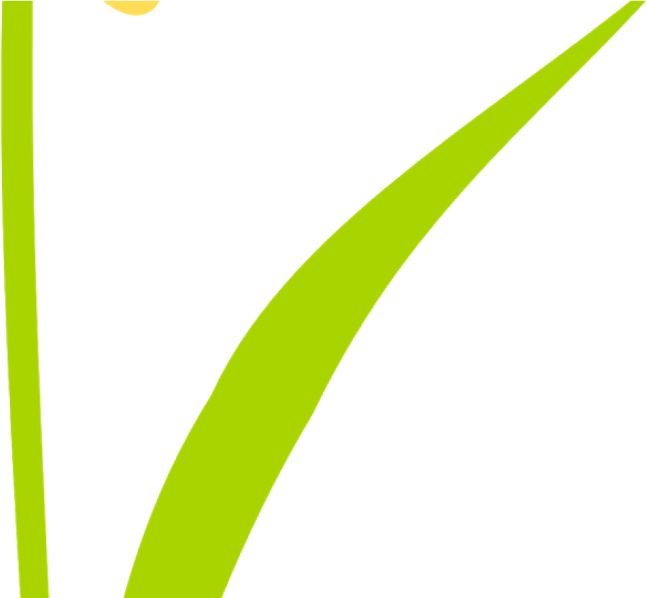 Free Scrap Flower Png Flower Scrapbooking Embellishment - Colorfulness (1368x855), Png Download