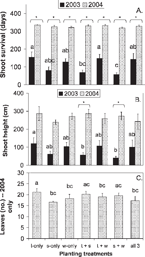 Mean Values For Giant Reed Shoot Survival Time, (b) - Number (498x878), Png Download