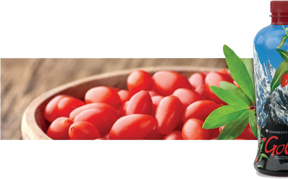 Ayuda A Restaurar Las Funciones Sexuales Saludables - Goji Juice (999x628), Png Download