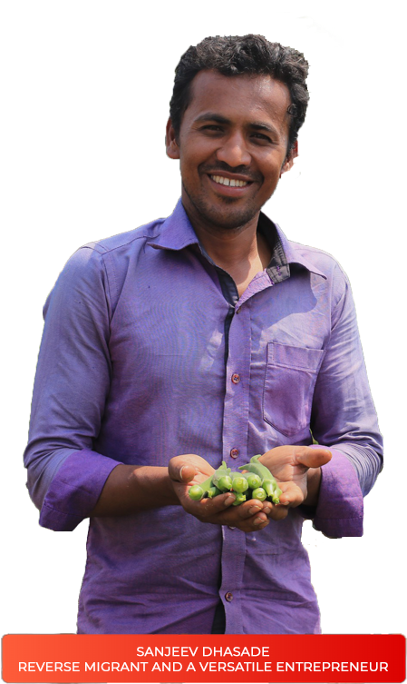 Swades - Natural Foods (456x760), Png Download