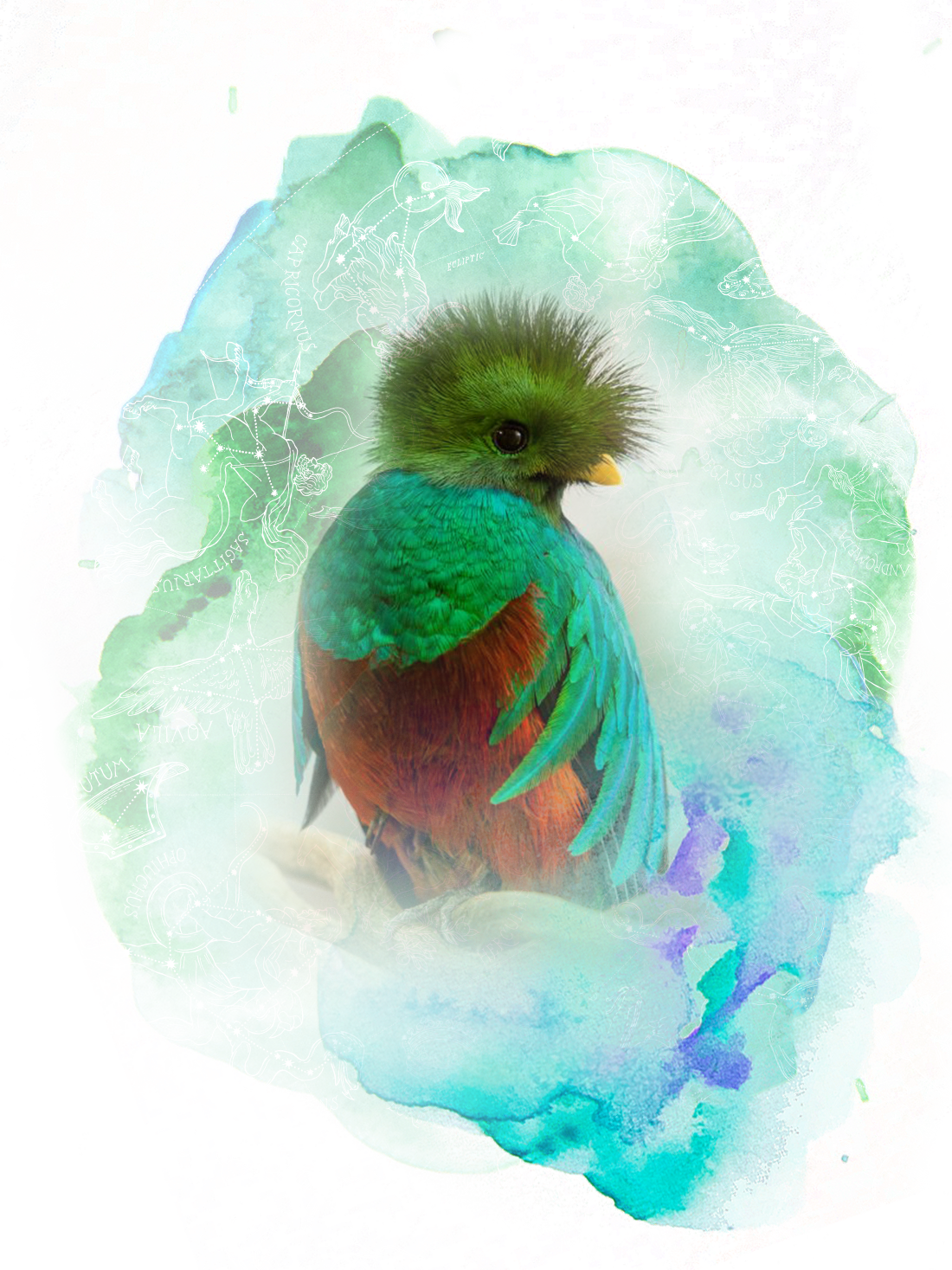Step Into Your Essence - Roller (1100x1467), Png Download