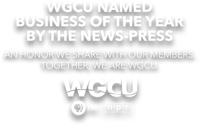 Get Our E-newsletter Sign Up - Calligraphy (1170x580), Png Download