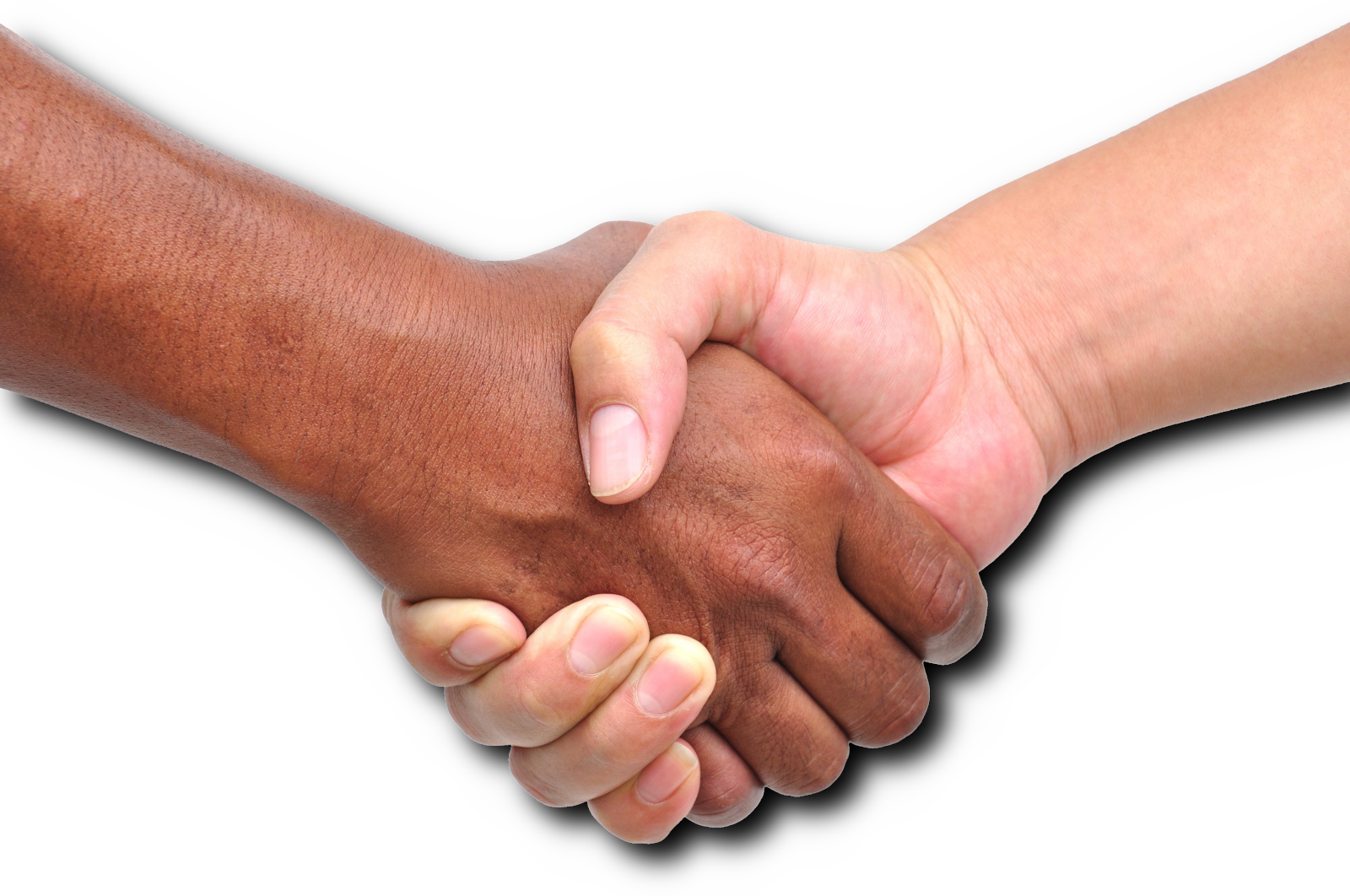 Thank You So Much For Your Interest In Joining Surfwatch - Alianza Terapeutica (1600x1062), Png Download