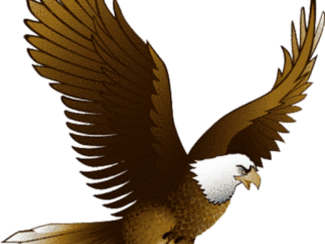 Golden Eagle Clipart Flying - Eagle Clipart Transparent Png (640x480), Png Download