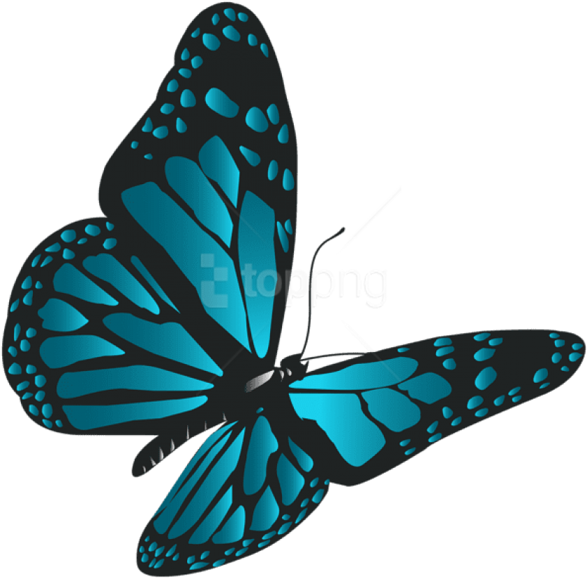 Free Png Download Blue Butterfly Png Clipart Png Photo - Png Format Butterfly Png (850x838), Png Download