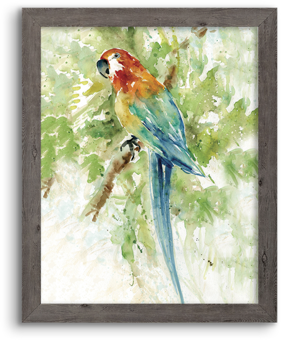 Watercolor Parrot - Watercolor Painting (1024x1024), Png Download