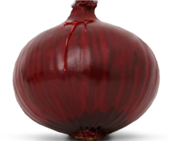 Onion Png Transparent Images - Vase (640x480), Png Download