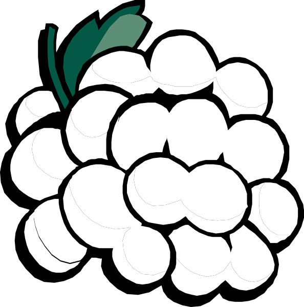 Grapes - Grapes Clip Art (594x599), Png Download