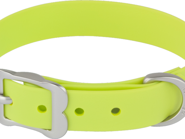 Dog Clipart Belt - Belt (640x480), Png Download