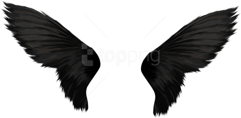 Free Png Download Black Wings Png Images Background - Transparent Background Wings Png (850x419), Png Download