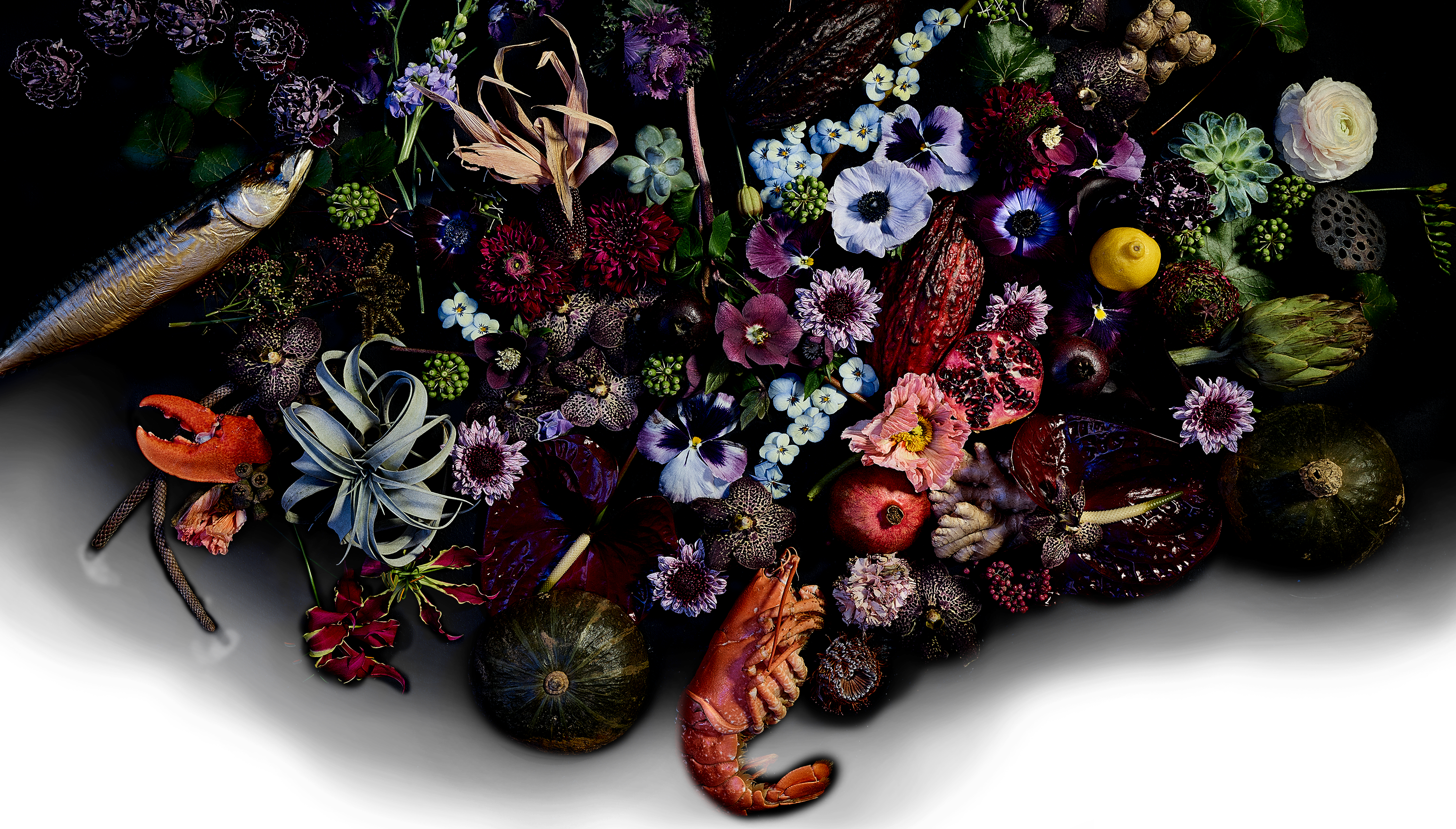 Your Party, Our Fish - Bouquet (3000x1708), Png Download