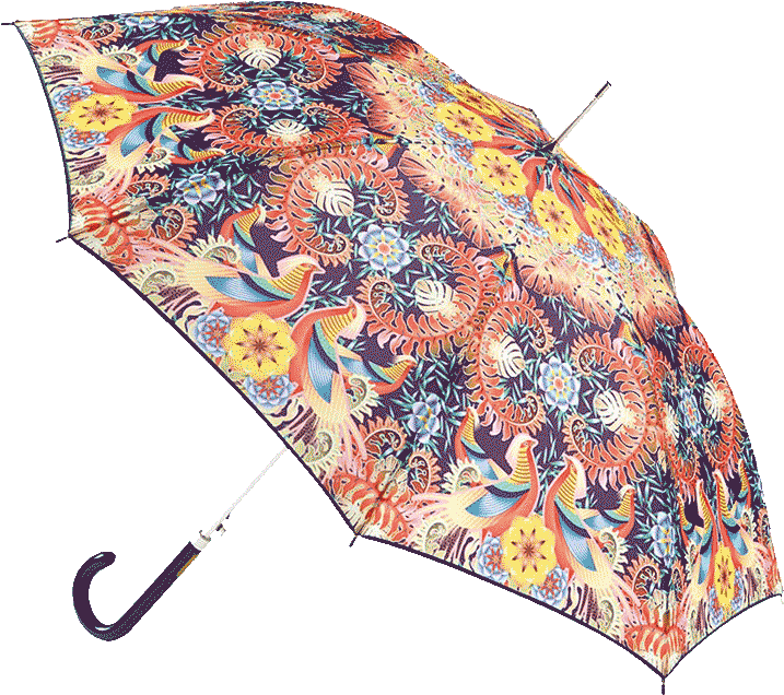 Fashion Umbrellas - Umbrella (800x800), Png Download