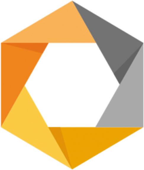 Google's Nik Collection Of Photography Plug-ins Is - Google Nik Collection Logo (550x580), Png Download