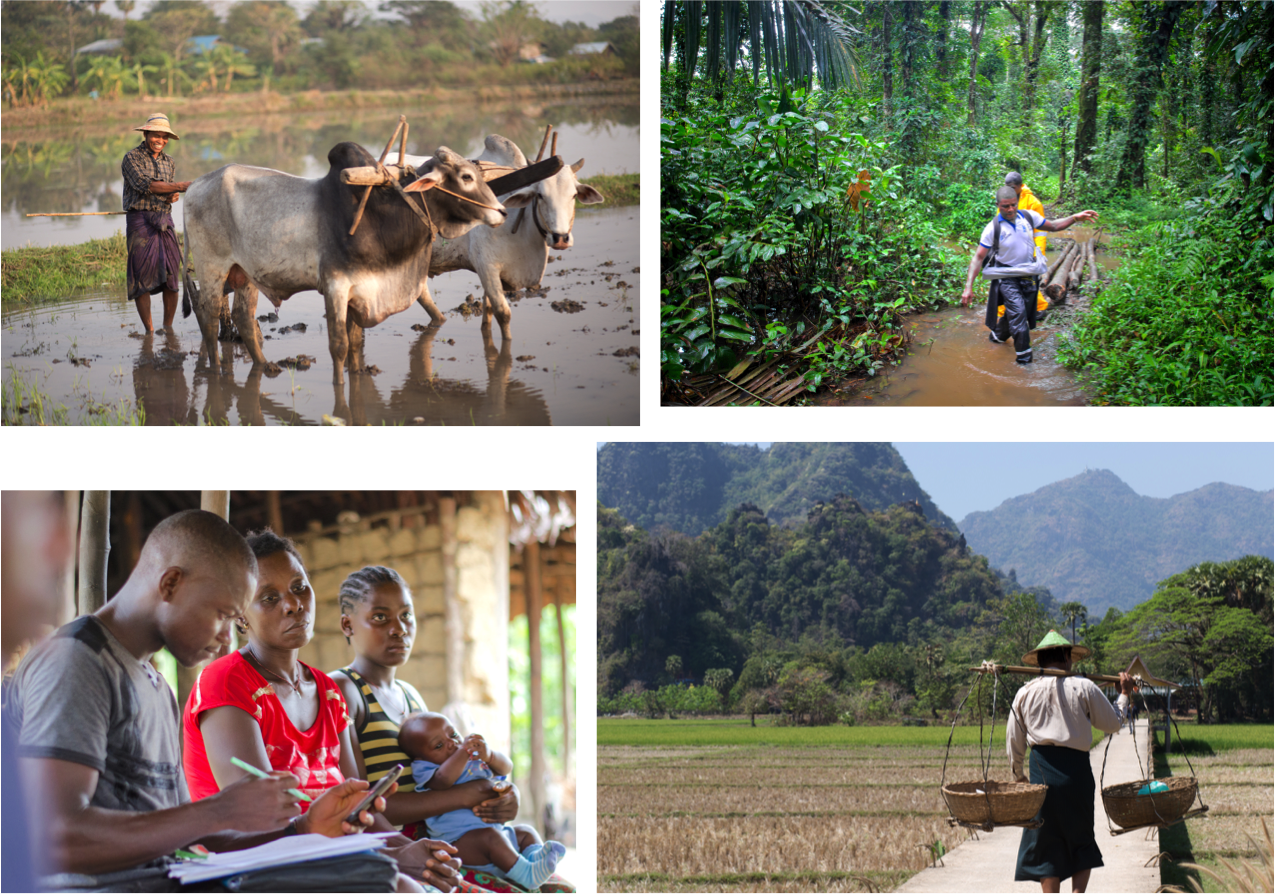 Essentials Montage - Field (1275x894), Png Download