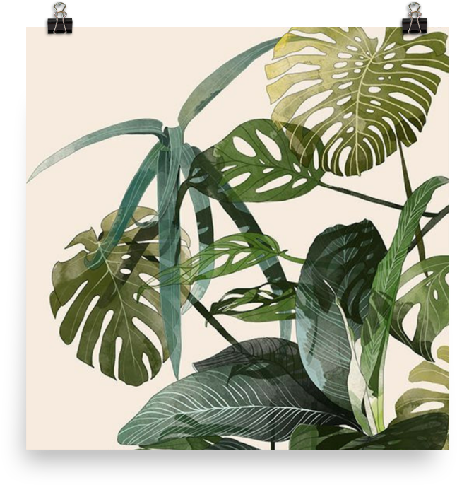 Lucy Poster - Botanic Agata Wierzbicka (1000x1000), Png Download