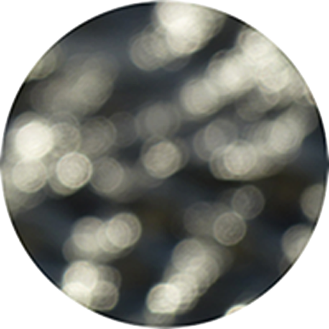 Blind - Circle (650x650), Png Download