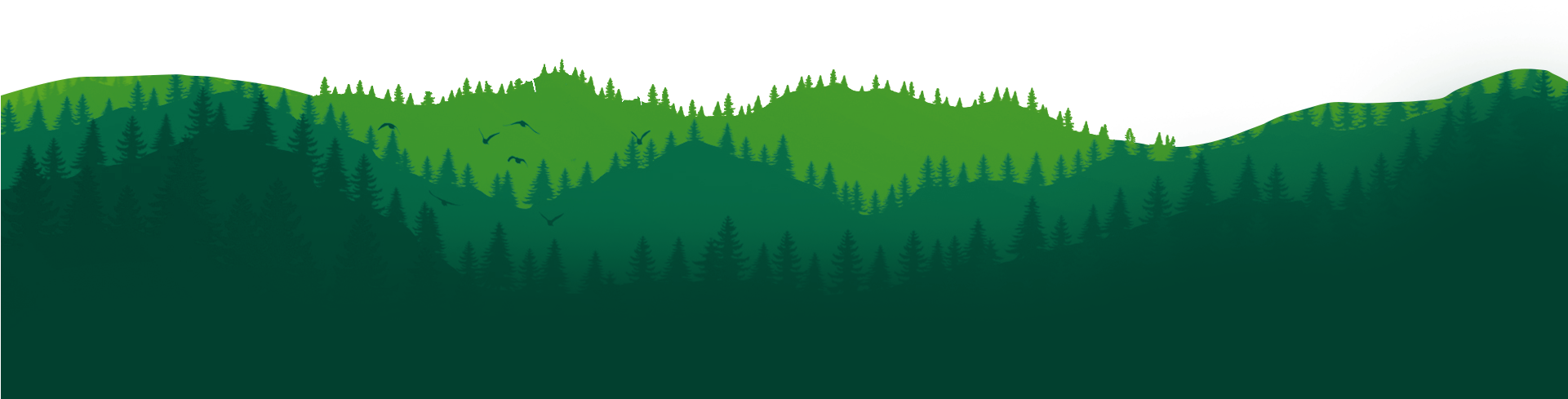 Modern Bamboo Building Structures, Shelters, Handicraft, - Spruce-fir Forest (1920x864), Png Download