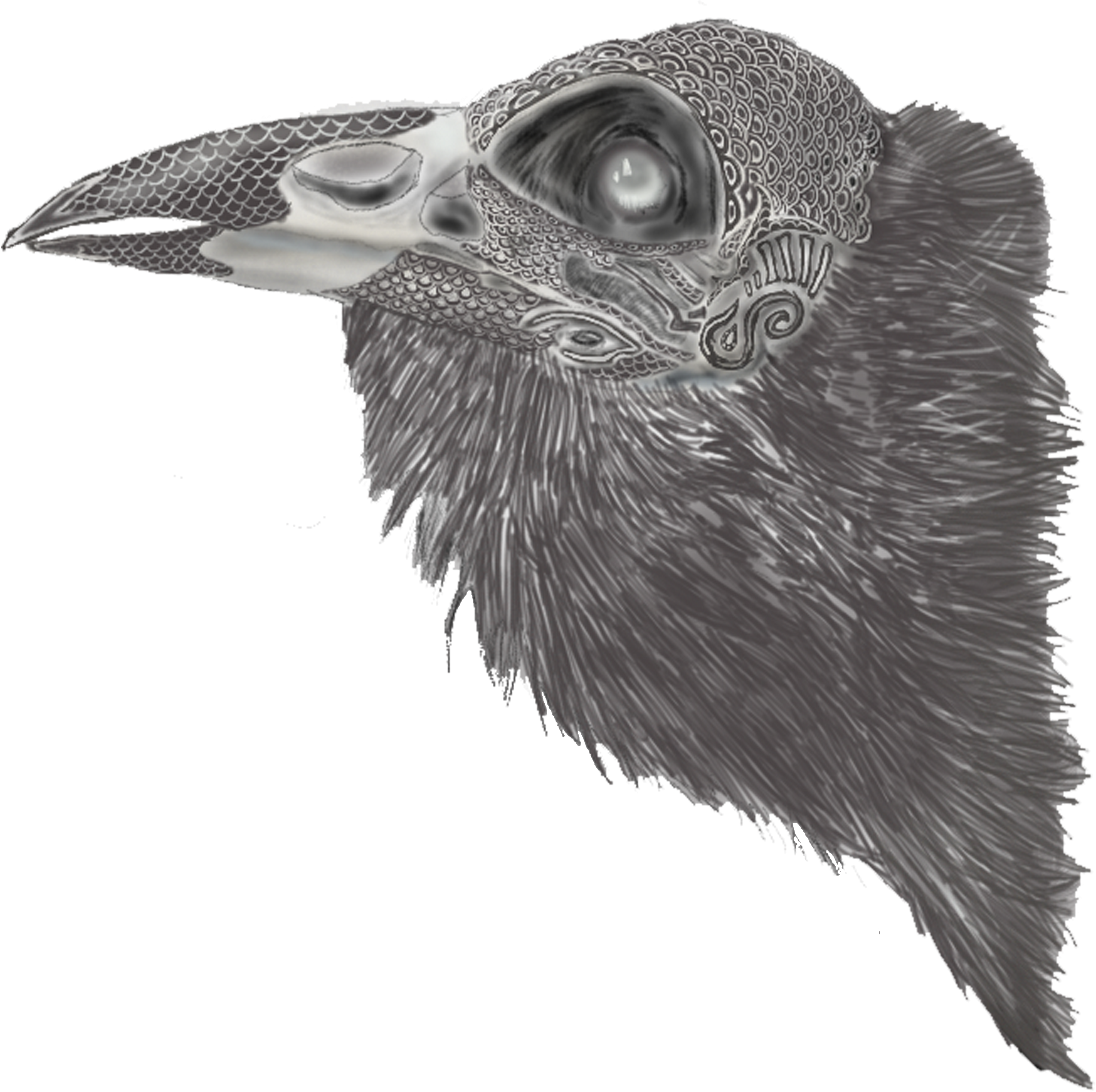Journal Of A Mid Twenties Illustrator - Great Grey Owl (2600x3678), Png Download