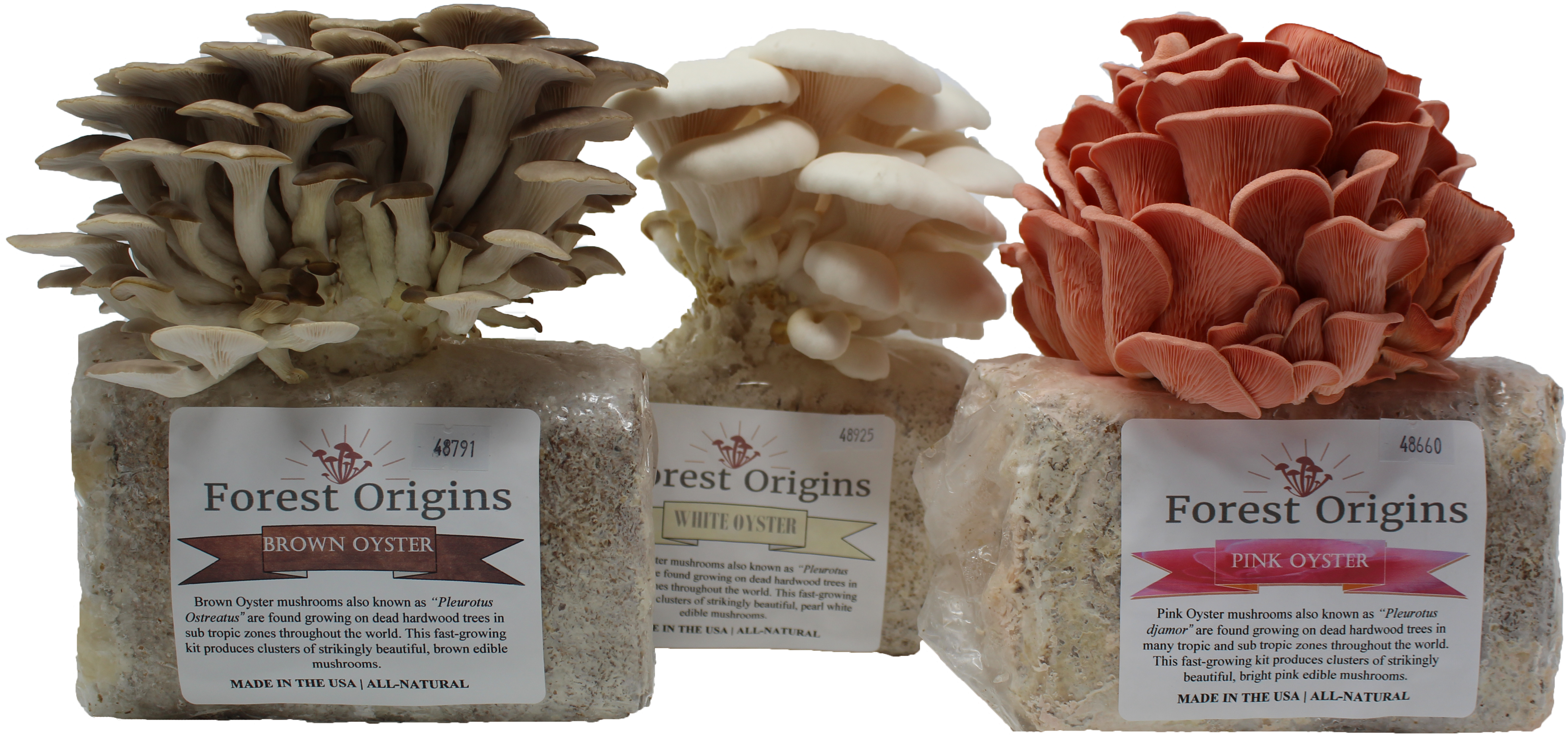 Specialty Trio Mushroom Grow Kits (5184x3456), Png Download