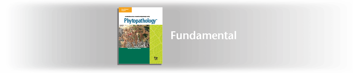 Fundamentals Of Logic Design (1348x280), Png Download