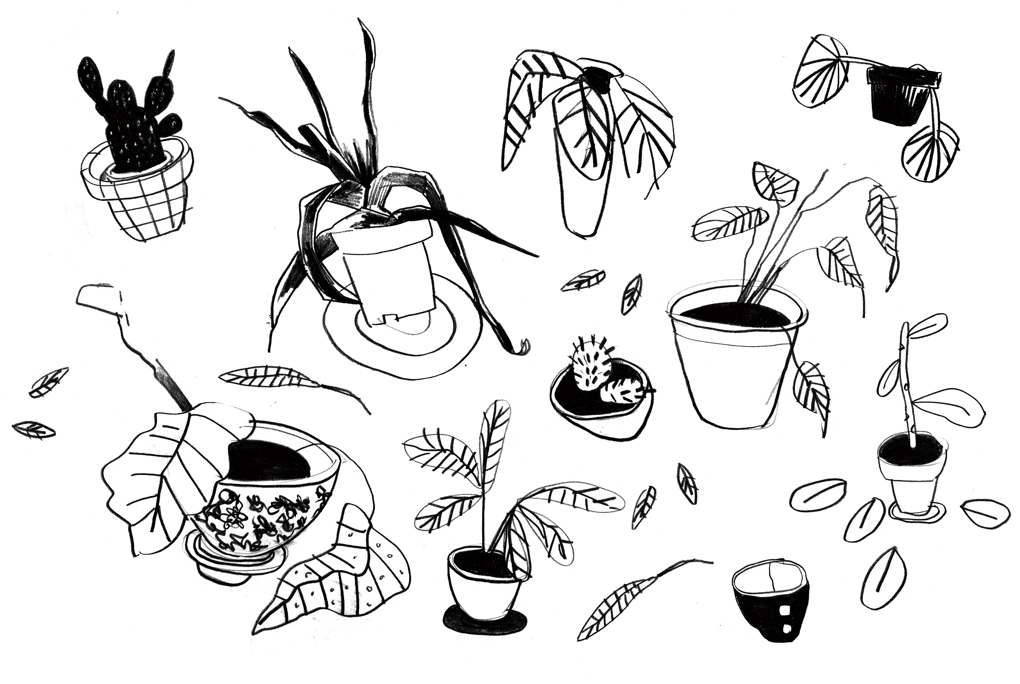 Wolves Wolves Wolves Wolves Wolves - Cartoon (3508x2480), Png Download