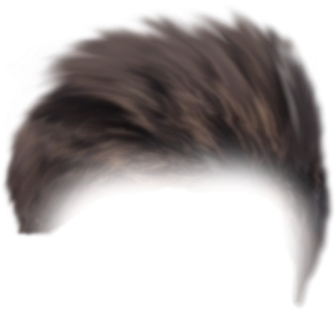 Download Cb Hair Png Picsart 3d Creative Editing Background - Porcupine PNG  Image with No Background 
