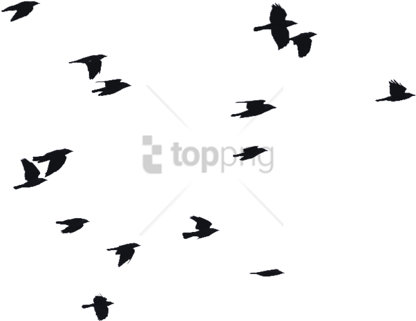 Free Png Birds Flying Silhouette Png Image With Transparent - Transparent Bird Fly Png (850x656), Png Download