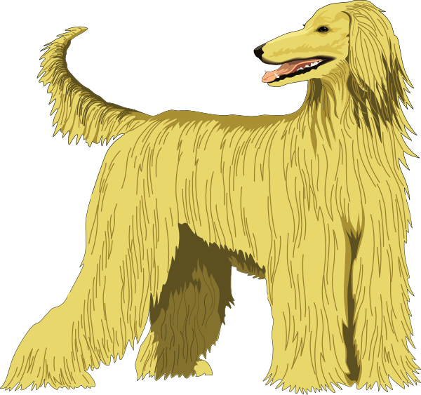 Hound Clipart Angry - Afghan Hound Clipart (600x563), Png Download