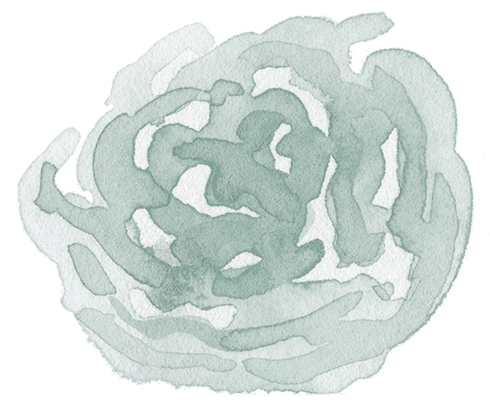 Sageflowerpng - Illustration (819x738), Png Download