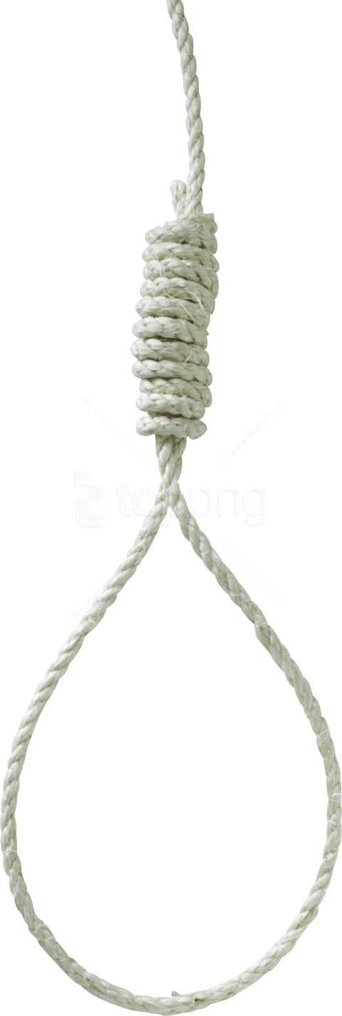 Free Png Download Rope Png Images Background Png Images - Rope Loop Png (480x1423), Png Download